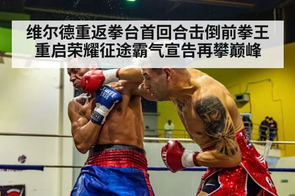 维尔德重返拳台首回合击倒前拳王重启荣耀征途霸气宣告再攀巅峰